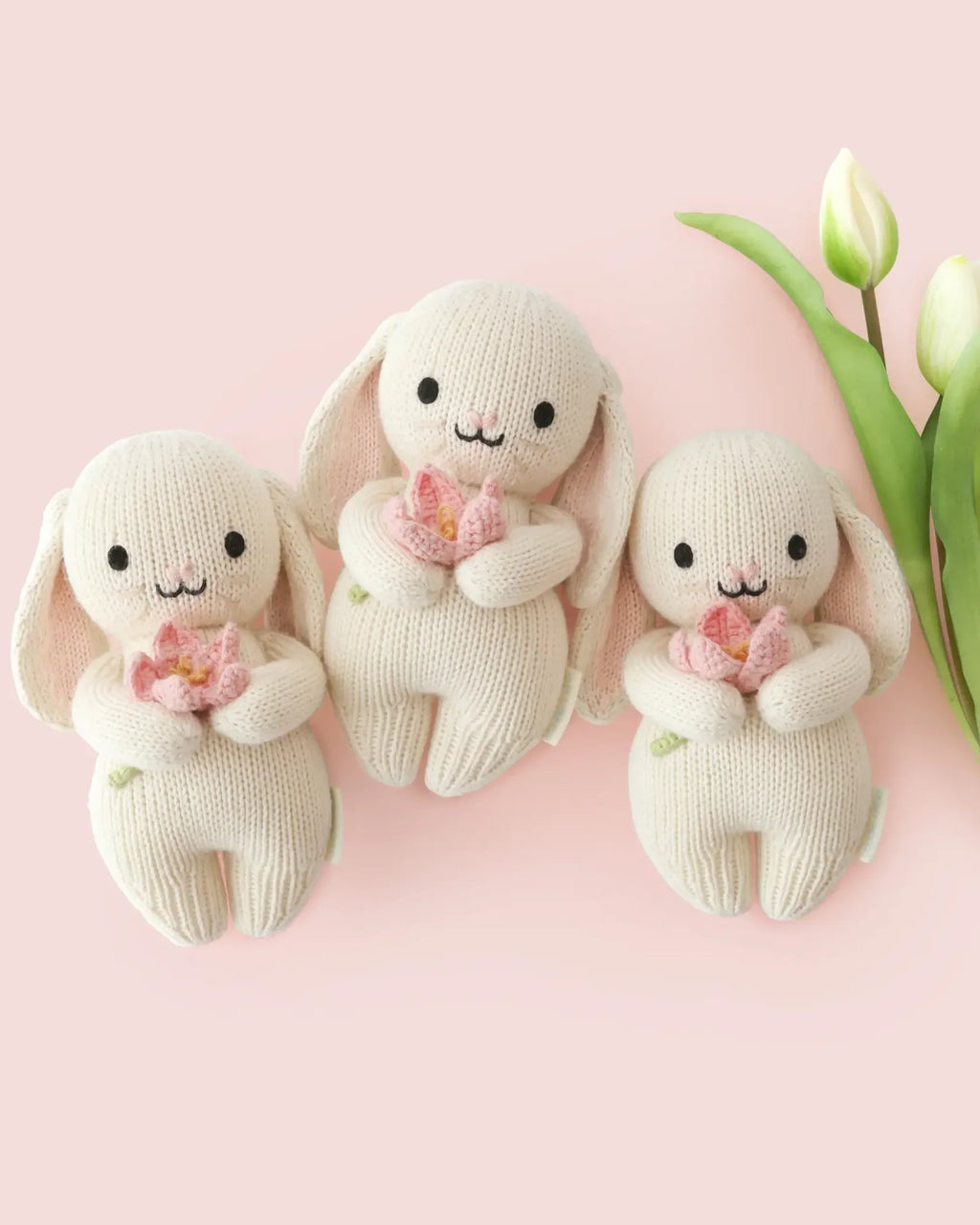 Lapin en peluche (Tulipe en fleur)