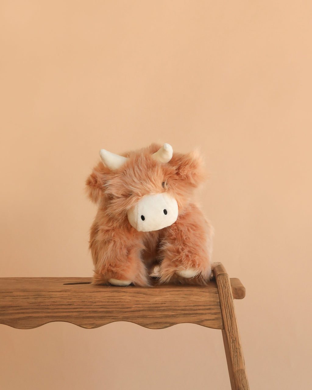 Hilda la vache Highland - Caramel