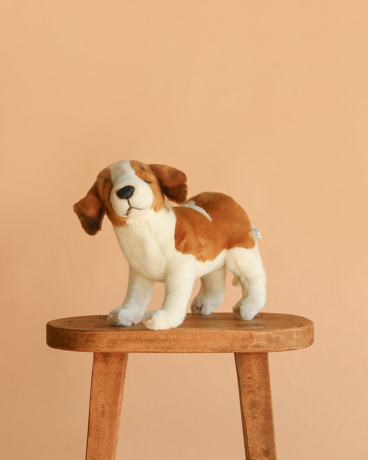Saint-Bernard Chiot Peluche