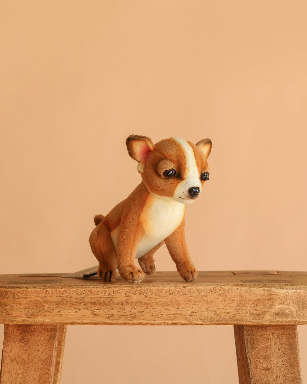 Peluche chihuahua miniature