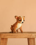 Peluche chihuahua miniature