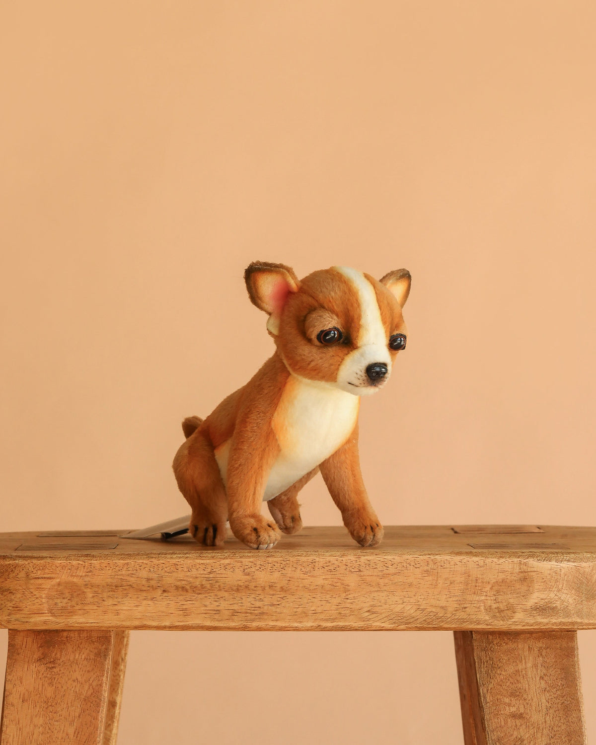Peluche chihuahua miniature
