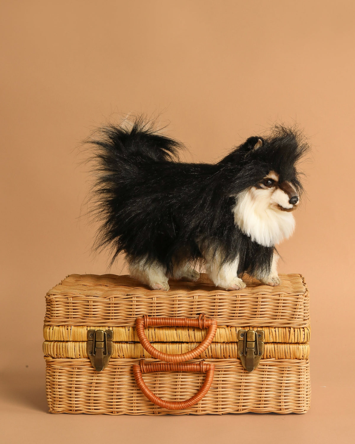 Peluche Chien Poméranien