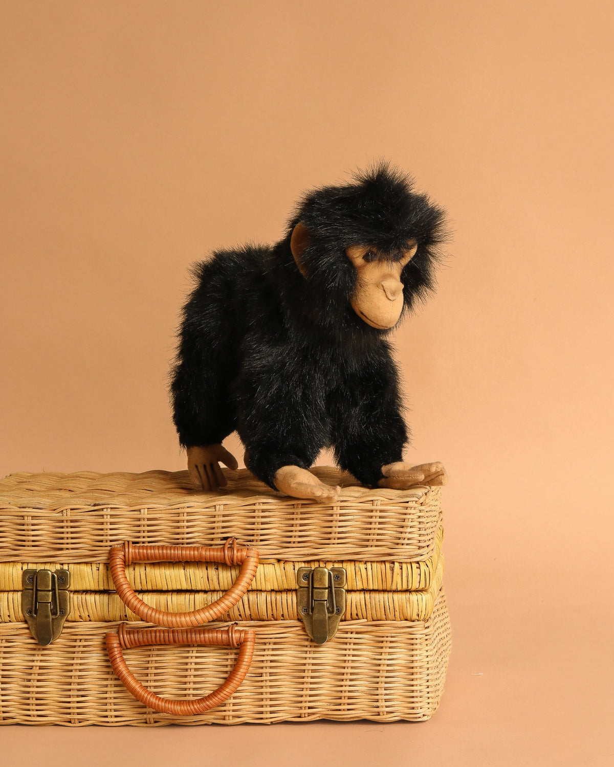 Peluche Singe Chimpanzé