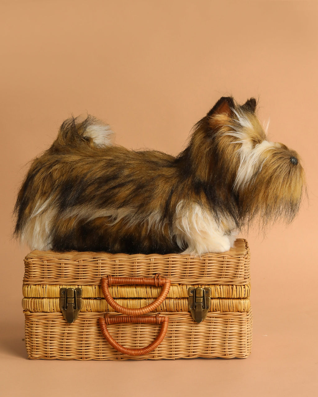Animal en peluche Chien Terrier