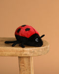 Peluche coccinelle