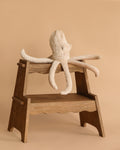 Cuddly Octopus - Poudre