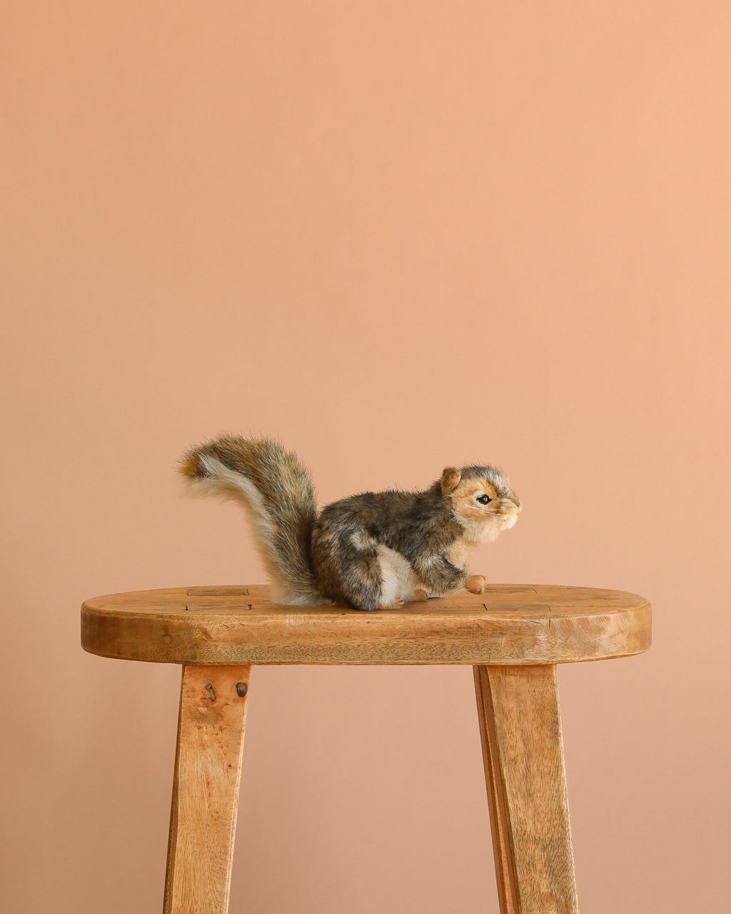 Écureuil gris en peluche