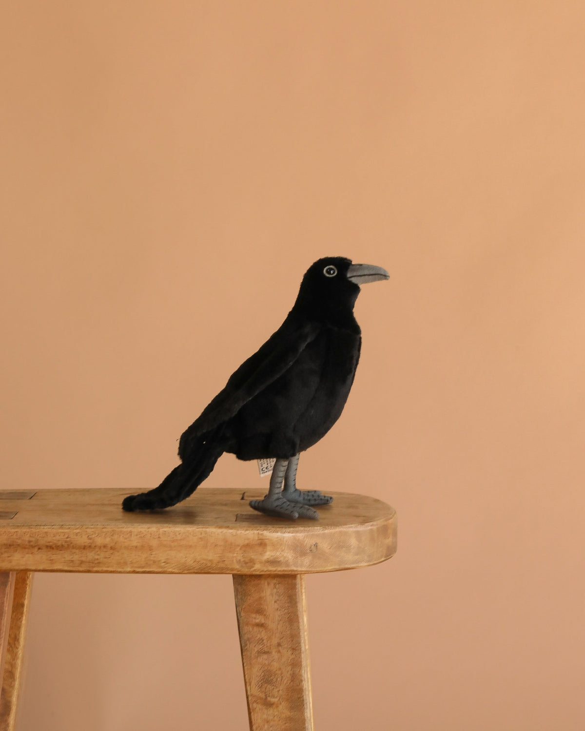 Corbeau en peluche