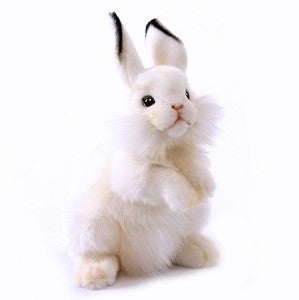 Peluche lapin blanc