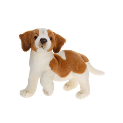 Saint-Bernard Chiot Peluche