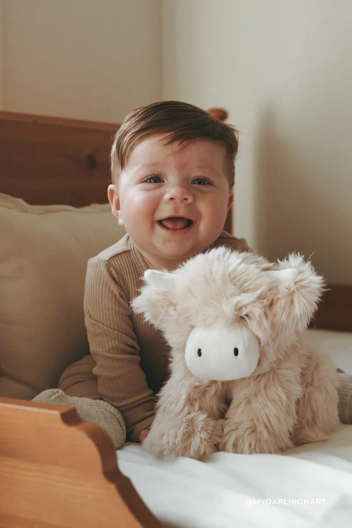 Peluche Vache des Highlands Hilda