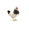 Peluche Poule Blanche Française