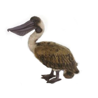 Pélican en peluche