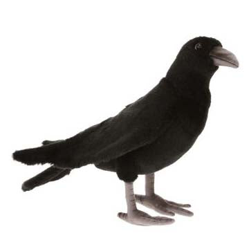 Corbeau en peluche