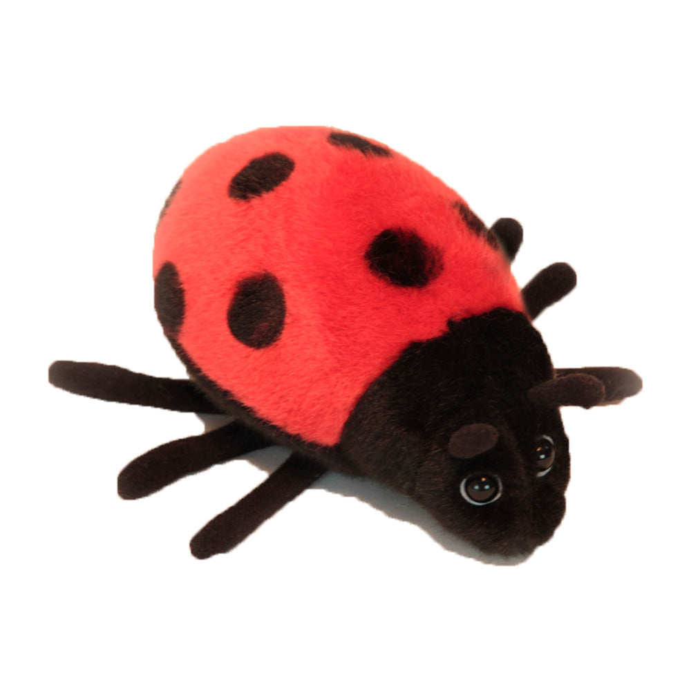Peluche coccinelle