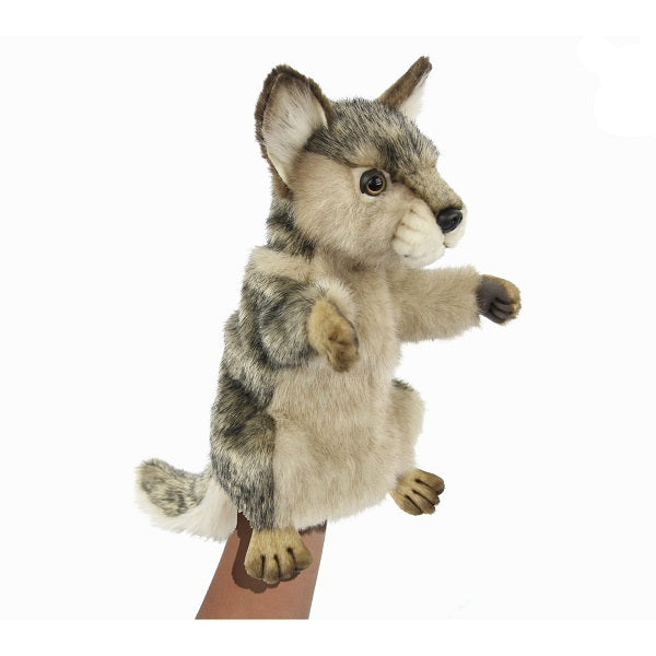 Marionnette loup