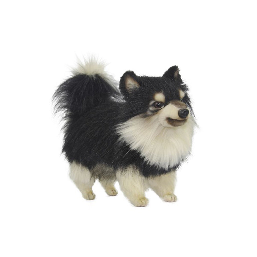 Peluche Chien Poméranien