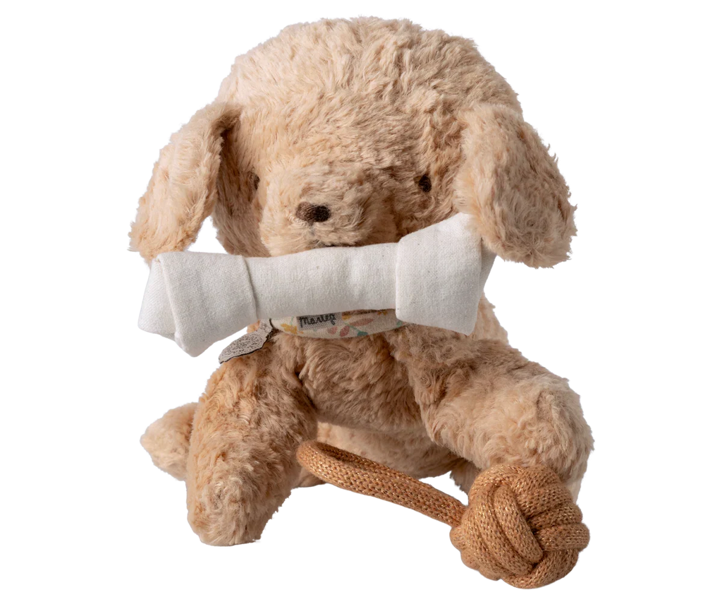 Jouets pour animaux de compagnie - Ensemble os et balle