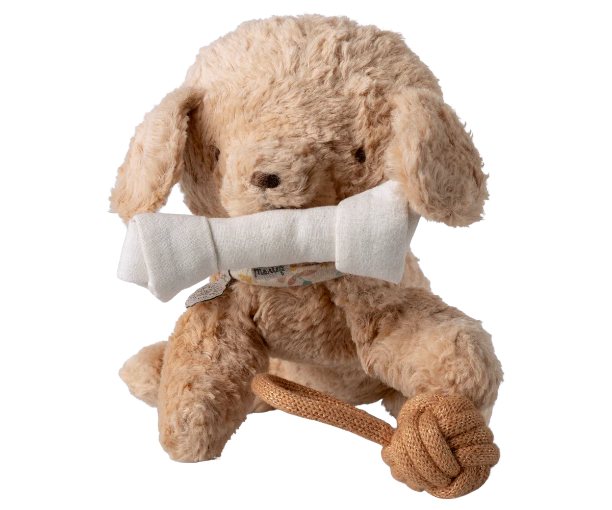Jouets pour animaux de compagnie - Ensemble os et balle