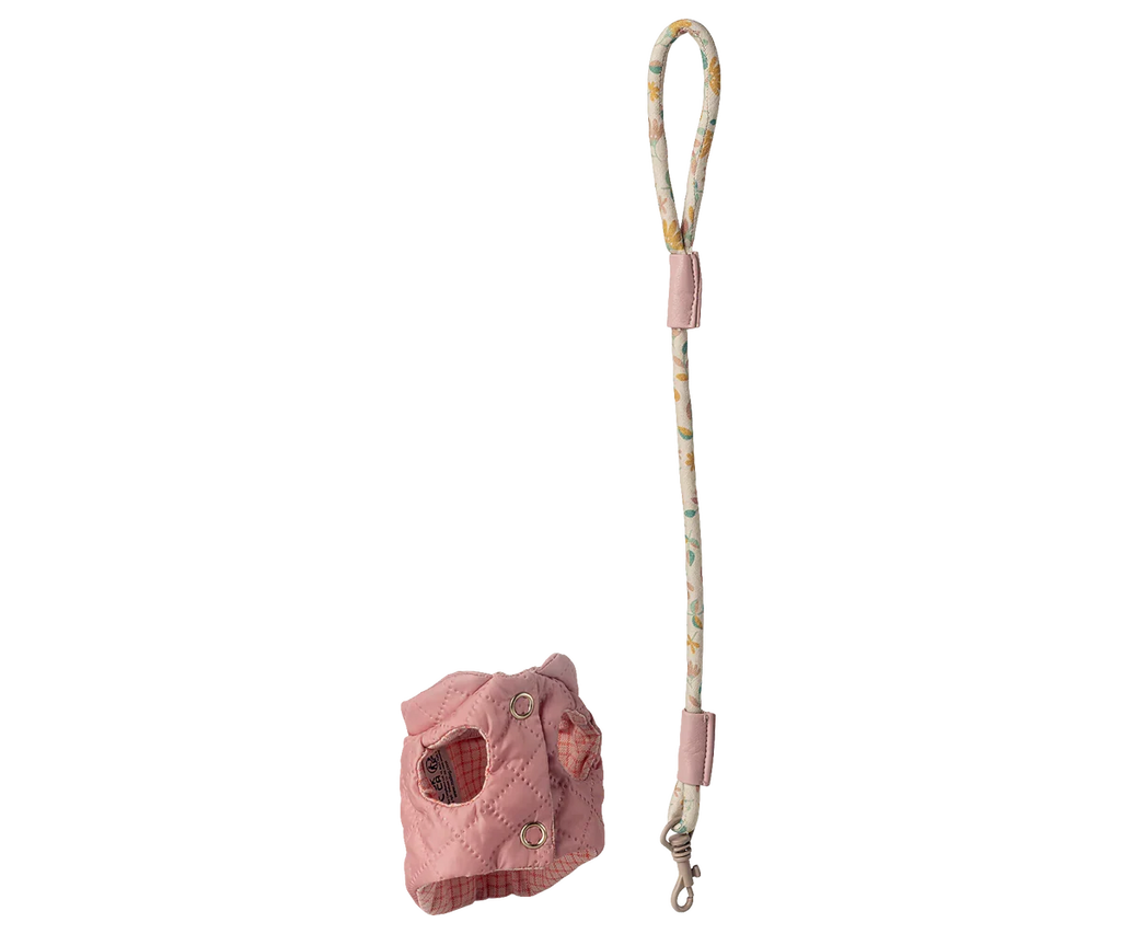 Harnais et laisse pour animaux de compagnie – Rose