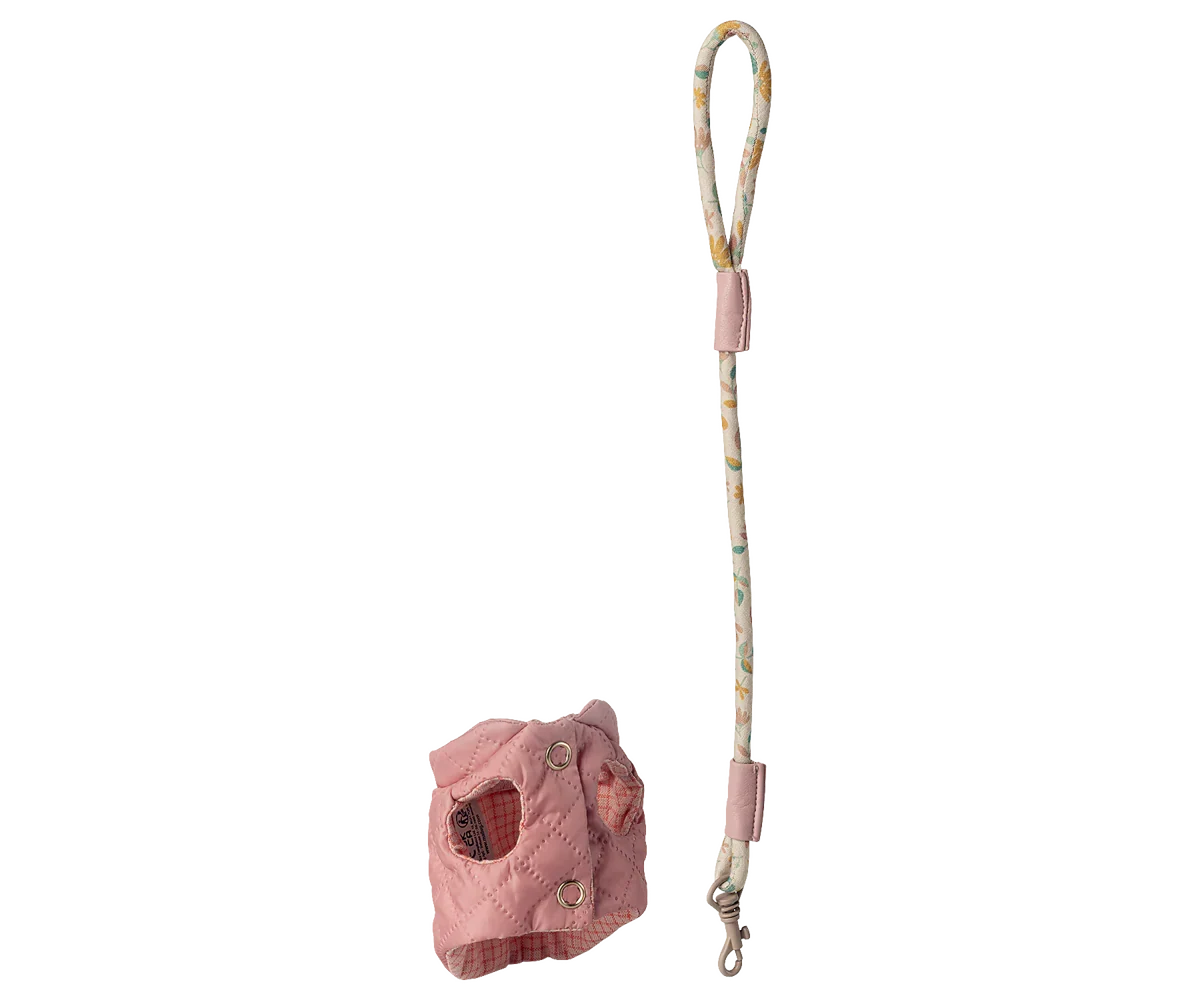 Harnais et laisse pour animaux de compagnie – Rose