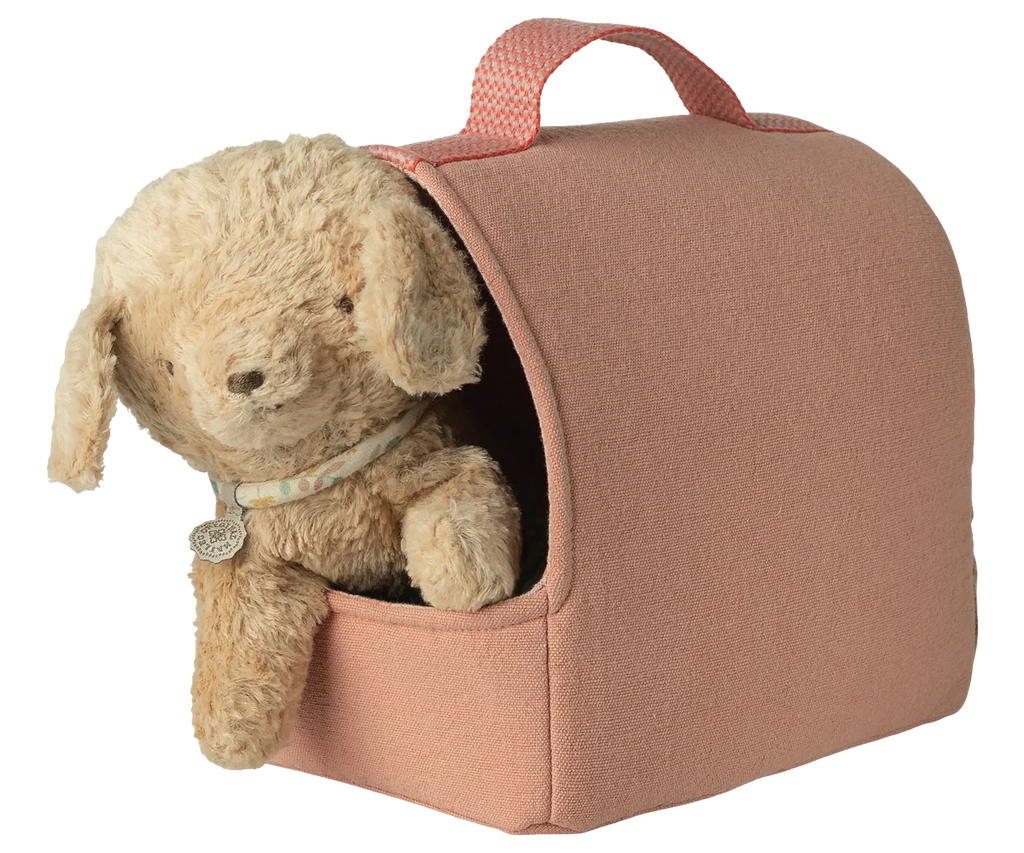 Cage de transport pour animaux de compagnie - Corail