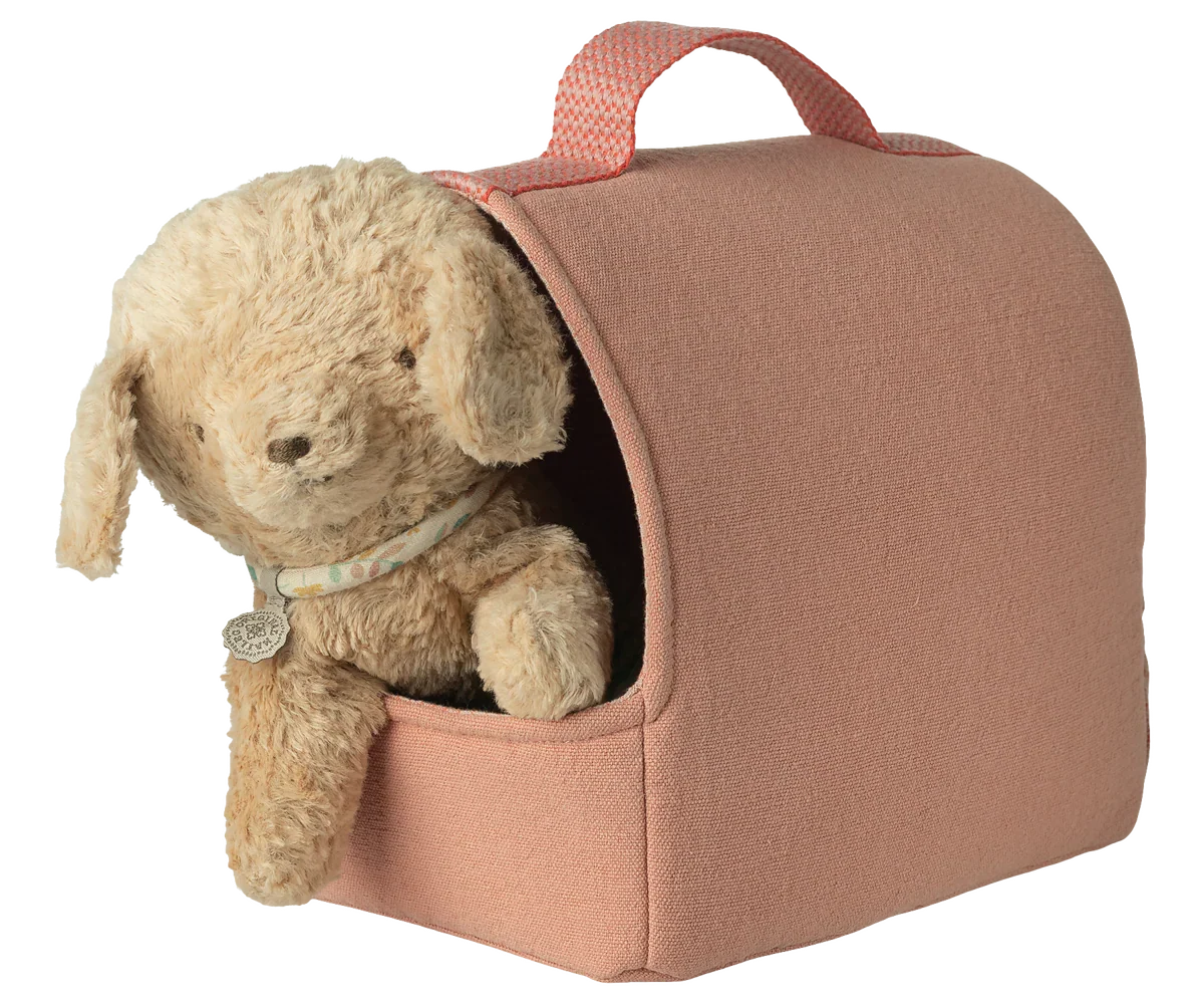 Cage de transport pour animaux de compagnie - Corail
