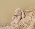 Lapin en peluche, Mini - Poudre clair