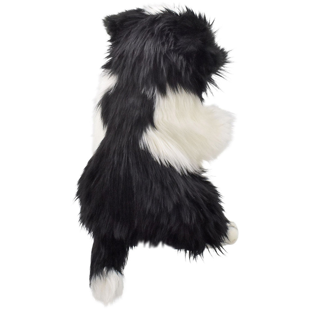 Marionnette Chien Border Collie