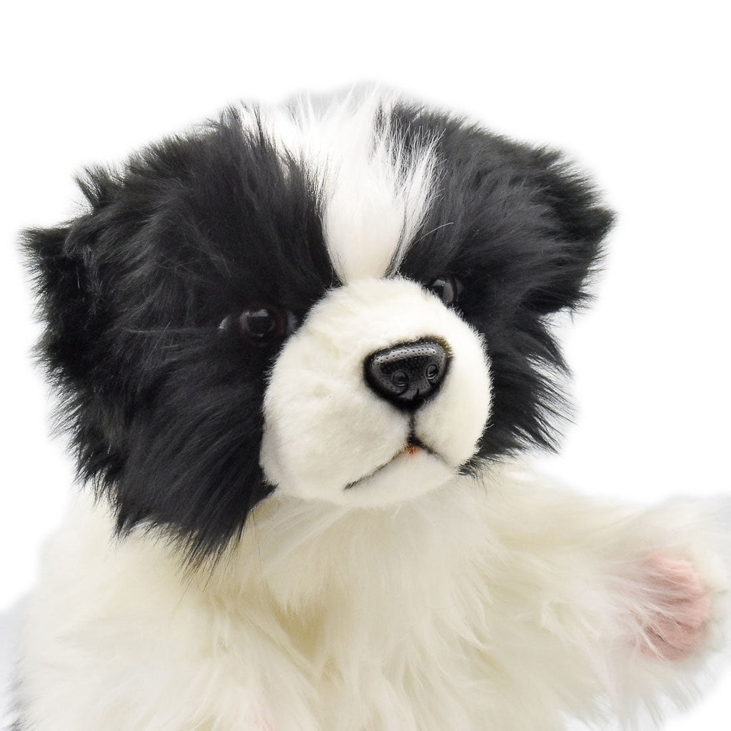 Marionnette Chien Border Collie